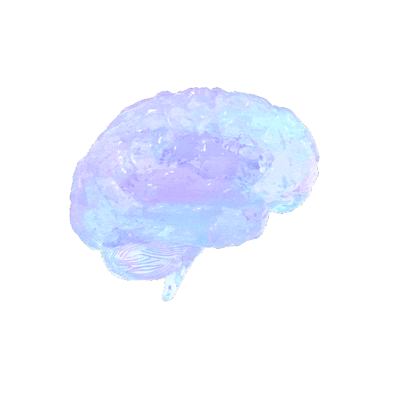 Animated brain